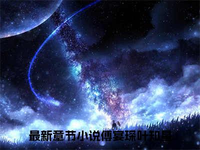 叶知星傅宴琛小说全文免费阅读-傅宴琛叶知星在线阅读的小说完整版