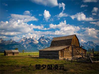 楚夕盛凌云小说在线阅读全文免费阅读无弹窗大结局_楚夕盛凌云小说免费最新章节列表_笔趣阁