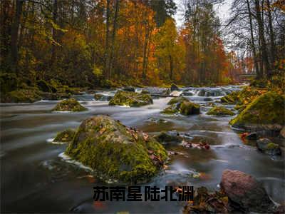 苏南星陆北渊全文(苏南星陆北渊)全文免费阅读无弹窗大结局_ 苏南星陆北渊全文免费阅读最新章节列表