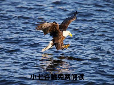 小七许瞻全文免费阅读无弹窗大结局_小七许瞻(燕宫杀，公子他日日娇宠)小说结局免费阅读（燕宫杀，公子他日日娇宠）