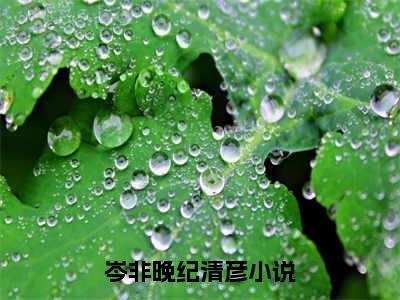 岑非晚纪清彦全本资源免费阅读结局无删节主角：岑非晚纪清彦小说全文阅读无弹窗