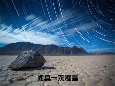 闻真一沈寒星（市集摆摊卖猪下水，馋哭全城百姓）全文免费阅读无弹窗大结局_闻真一沈寒星全文免费完结版阅读（市集摆摊卖猪下水，馋哭全城百姓）