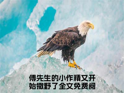 傅先生的小作精又开始撒野了（傅君辞苏慕晚）全文免费阅读无弹窗大结局_(傅先生的小作精又开始撒野了免费阅读)傅君辞苏慕晚无弹窗最新章节列表