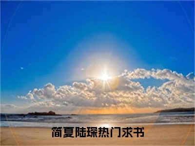 简夏陆琛推荐免费新书，简夏陆琛小说试读