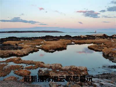 池云歌陆暮沉小说免费阅读-精选好书池云歌陆暮沉