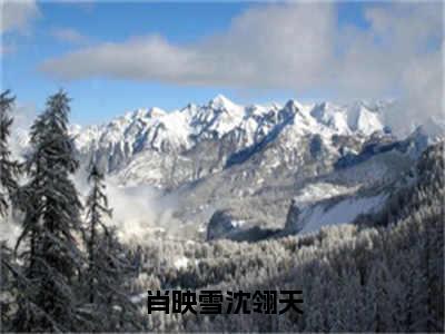 肖映雪沈翎天榜单小说全文免费阅读无弹窗大结局-肖映雪沈翎天全文在线阅读