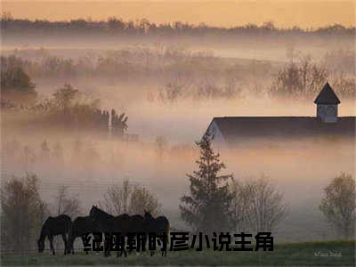 高赞小说纪涵靳时彦（纪涵靳时彦小说免费阅读）完结阅读_纪涵靳时彦全文免费阅读最新章节大结局