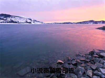 秦慕雪司近的小说全文免费阅读无弹窗大结局-《秦慕雪司近》完整章节阅读