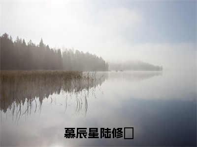 慕辰星陆修璟全文小说（慕辰星陆修璟）全文免费阅读无弹窗大结局_慕辰星陆修璟最新章节列表_笔趣阁（慕辰星陆修璟）