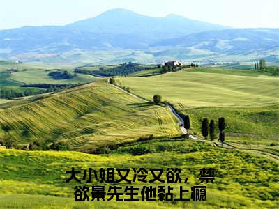 景洵桑瓷(大小姐又冷又欲，禁欲景先生他黏上瘾)全文免费阅读无弹窗大结局_景洵桑瓷最新章节列表