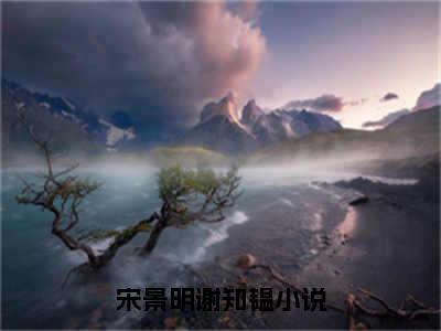 宋景明谢知韫精彩章节试读-宋景明谢知韫虐心小说免费阅读