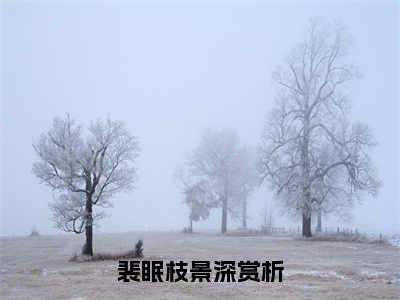 小说(裴眠枝景深)免费阅读-珍藏美文读物裴眠枝景深