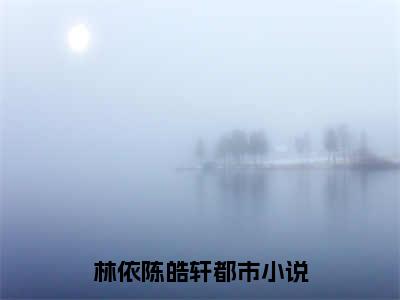 林依陈皓轩(林依陈皓轩)全文免费阅读无弹窗大结局_林依陈皓轩免费试读阅读全文无弹窗_