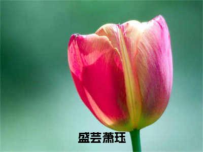 盛芸萧珏小说（盛芸萧珏）全文免费阅读大结局_（盛芸萧珏）盛芸萧珏小说最新章节列表_笔趣阁（盛芸萧珏）