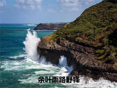 （余叶雨路野铎）抖音余叶雨路野铎小说阅读完结版-余叶雨路野铎小说全文免费阅读