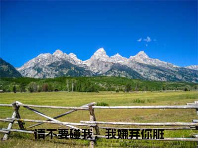 林雨泽李墨雪（请不要碰我，我嫌弃你脏全章节完整版）免费阅读_林雨泽李墨雪（请不要碰我，我嫌弃你脏）最新章节列表笔趣阁