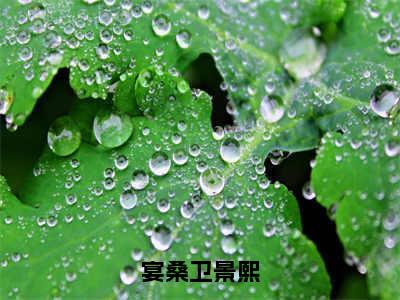 宴桑卫景熙（宴桑卫景熙）最新章节在线阅读-宴桑卫景熙小说完整版阅读