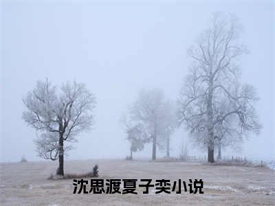 沈思渡夏子奕免费阅读（沈思渡夏子奕）全文免费阅读无弹窗大结局_沈思渡夏子奕免费阅读最新章节列表_笔趣阁（沈思渡夏子奕）