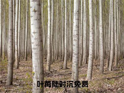 叶苒陆时沉小说全文阅读无弹窗大结局_（叶苒陆时沉）最新章节列表_笔趣阁