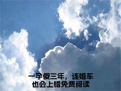 盛誉时颖（一孕傻三年，连婚车也会上错免费阅读无弹窗）一孕傻三年，连婚车也会上错最新章节列表_笔趣阁