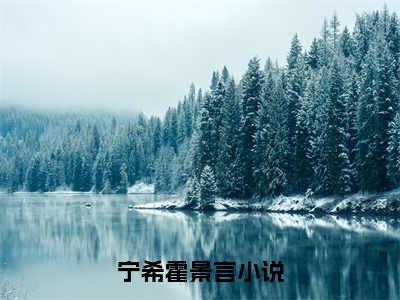 （宁希霍景言）小说全文免费阅读_宁希霍景言（宁希霍景言）最新章节热文在线阅读