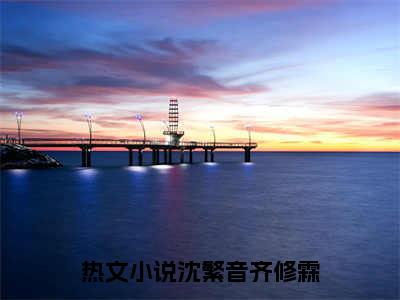 沈繁音齐修霖完整版全文在线赏析-沈繁音齐修霖全文在线阅读