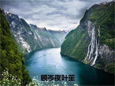 顾岑夜叶笙小说（顾岑夜叶笙）全文免费阅读无弹窗_顾岑夜叶笙小说最新章节免费阅读_笔趣阁