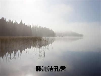 滕沁洁孔霁全集小说（滕沁洁孔霁）全文免费阅读无弹窗大结局_滕沁洁孔霁最新章节列表_笔趣阁（滕沁洁孔霁）