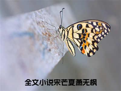 宋芒夏萧无枫经典小说无广告小说免费阅读 宋芒夏萧无枫全章节免费阅读