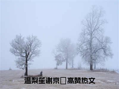 温梨笙谢京栒（温梨笙谢京栒）全文免费阅读无弹窗大结局_温梨笙谢京栒最新章节列表