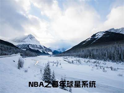 苏天（NBA之暮年球星系统）正版小说最新章节在线阅读_（NBA之暮年球星系统全文免费阅读无弹窗）