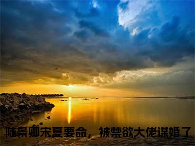 陆景卿宋夏要命，被禁欲大佬谋婚了小说-陆景卿宋夏小说免费阅读