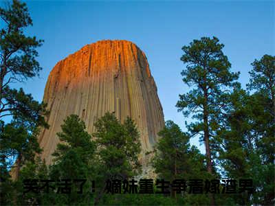 小说笑不活了！嫡妹重生争着嫁渣男全文阅读-沈望舒谢司珩小说笑不活了！嫡妹重生争着嫁渣男大结局