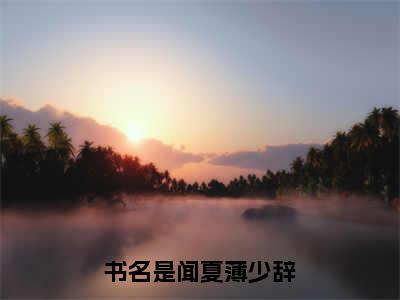 闻夏薄少辞在线阅读全文 (闻夏薄少辞免费大结局)小说无弹窗广告