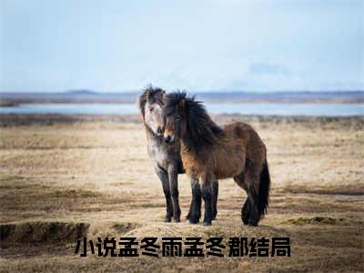 （孟冬雨孟冬郡）孟冬雨孟冬郡小说全文免费孟冬雨孟冬郡读最新章节列表笔趣阁（孟冬雨孟冬郡