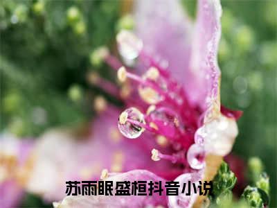 苏雨眠盛桓小说免费阅读无弹窗-苏雨眠盛桓（苏雨眠盛桓）小说免费阅读无弹窗大结局