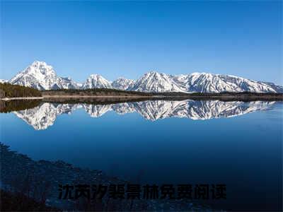 沈芮汐裴景林全文（沈芮汐裴景林）全文免费阅读无弹窗大结局_（沈芮汐裴景林）沈芮汐裴景林最新章节列表笔趣阁（沈芮汐裴景林）