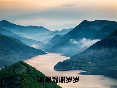 精选小说谢景深谢岁岁（谢景深谢岁岁）全本阅读_谢景深谢岁岁免费阅读_笔趣阁