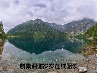 谢景深谢岁岁(谢景深谢岁岁)全文免费阅读无弹窗大结局_谢景深谢岁岁小说（谢景深谢岁岁）最新章节列表笔趣阁（谢景深谢岁岁）