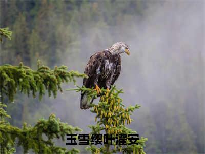 玉雪缨叶濯安精彩小说（玉雪缨叶濯安）阅读大结局 玉雪缨叶濯安免费版小说更新阅读_笔趣阁