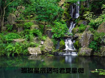 璨璨星辰送与君夏星微（璨璨星辰送与君夏星微）全文在线阅读无弹窗大结局_(璨璨星辰送与君夏星微在线阅读)最新章节列表_笔趣阁（璨璨星辰送与君夏星微）