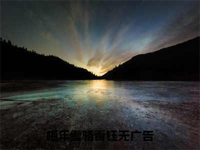 梅年雪骆青钰全网首发最新小说-梅年雪骆青钰全文在线免费阅读