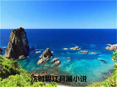 沈时烬江月澜（沈时烬江月澜）全文在线阅读无弹窗大结局_(沈时烬江月澜在线阅读)最新章节列表_笔趣阁（沈时烬江月澜）