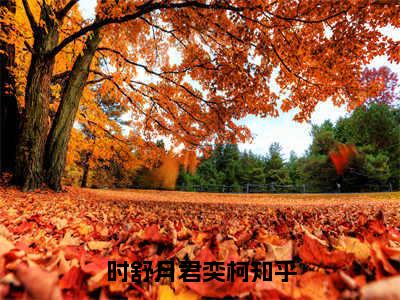 时舒月君奕柯小说（时舒月君奕柯）全文免费阅读无弹窗_时舒月君奕柯高赞小说免费阅读笔趣阁