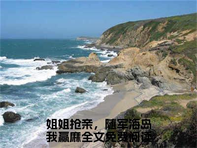 沈梨陆景川（姐姐抢亲，随军海岛我赢麻）小说全文免费阅读完整版-沈梨陆景川免费在线阅读大结局（姐姐抢亲，随军海岛我赢麻）