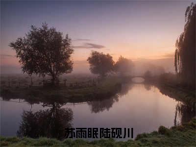 苏雨眠陆砚川（苏雨眠陆砚川）大结局免费小说无弹窗-苏雨眠陆砚川完整版阅读-笔趣阁