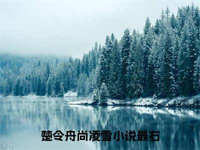 楚令舟尚凌雪全文免费阅读无弹窗大结局_楚令舟尚凌雪小说免费阅读完整版全文大结局