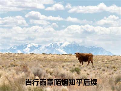 肖行雨章陌烟经典小说无广告小说免费阅读 肖行雨章陌烟全章节免费阅读