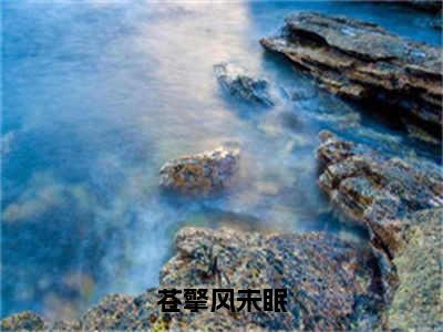 (苍擎风未眠)最新章节在线阅读-小说无弹窗免费阅读