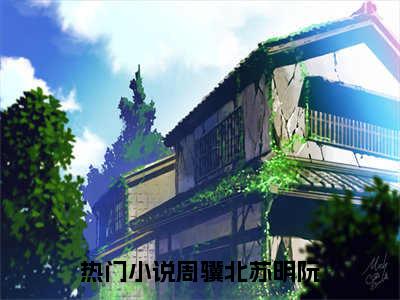 周骥北苏明阮全文免费完整版 周骥北苏明阮在线试读